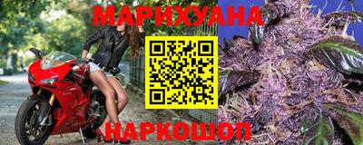 прущие крисы Камышлов