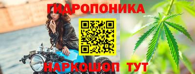 прущая мука Кингисепп