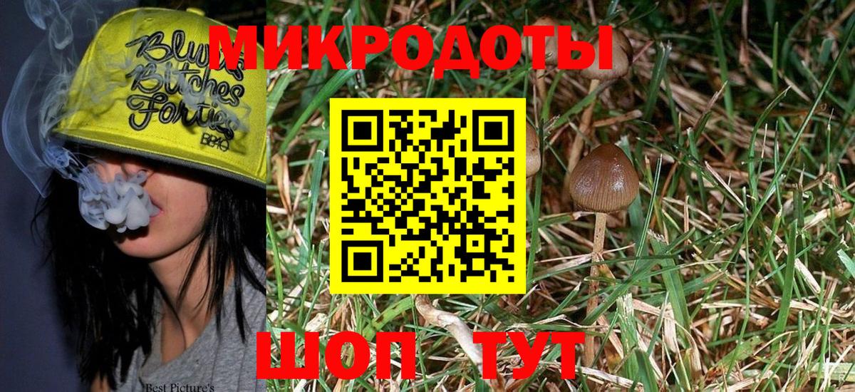 Псилоцибиновые грибы Magic Shrooms  где можно купить   Янаул  Вход с VPN 